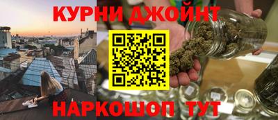 трава Гатчина