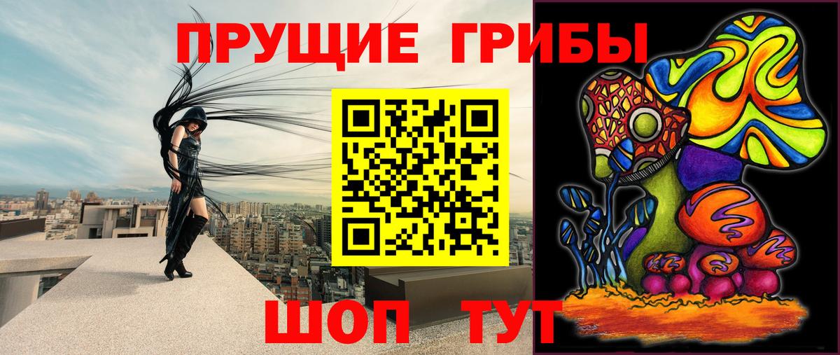 Псилоцибиновые грибы Psilocybine cubensis  продажа наркотиков  Михайловка  Вход с VPN 