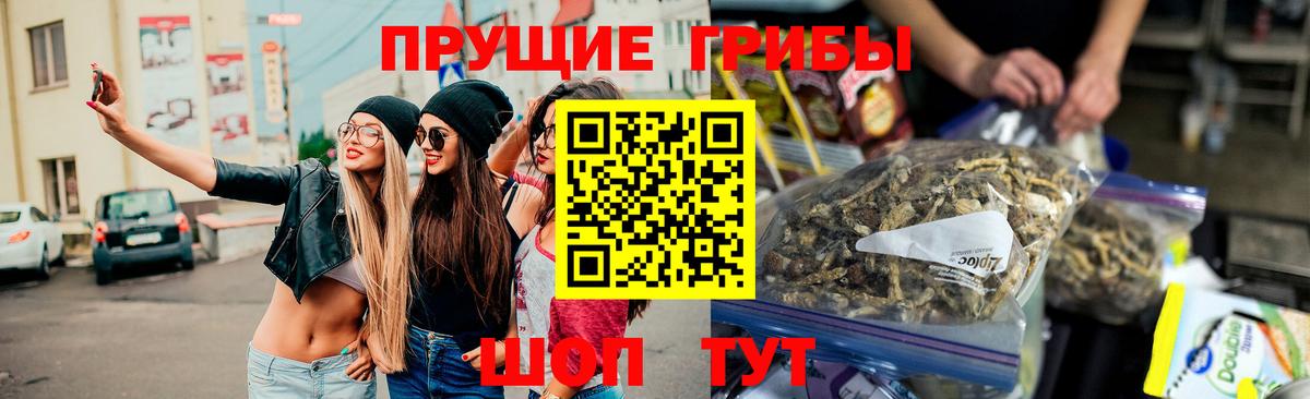 Галлюциногенные грибы Cubensis Михайловка